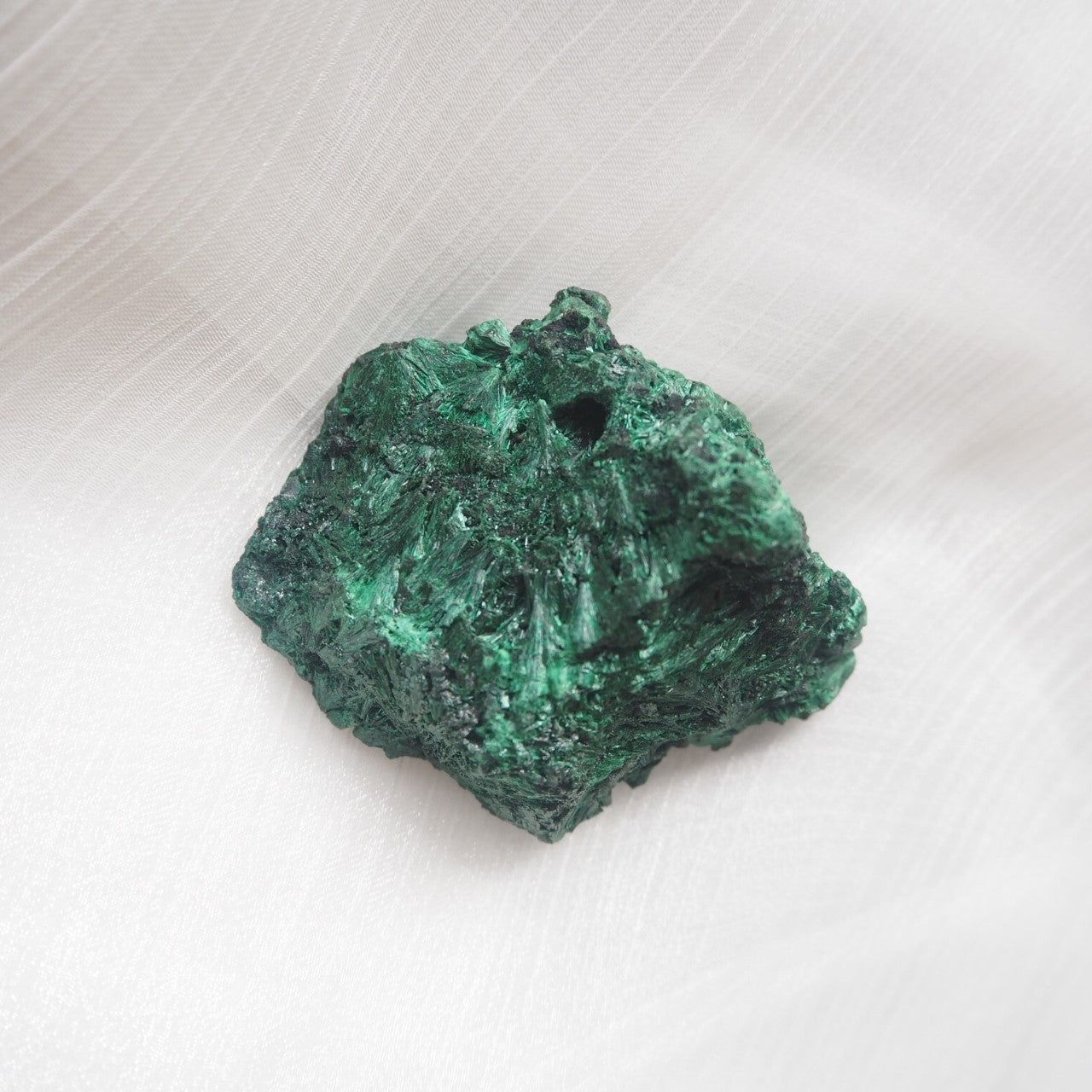 Malachite - Fresh Leaves