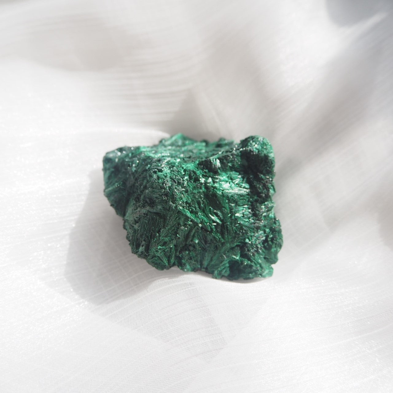 Malachite - Fresh Leaves